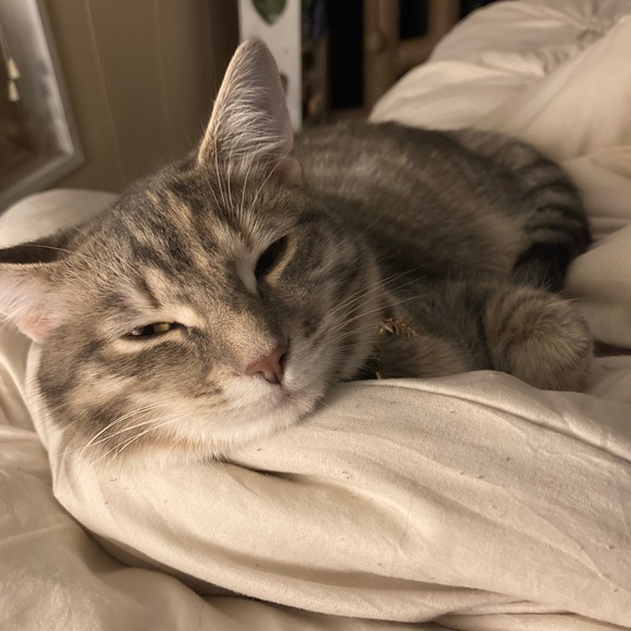 🌹 Welcome! 🗝 - Picture 5 of 5